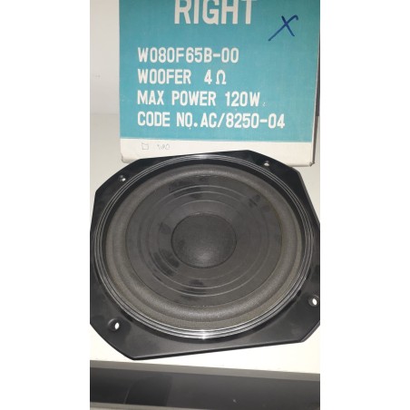 WOOFER RIGHT W080F65B-00 4 OHM MASSIMA POTENZA 120W CODE AC/8250-04