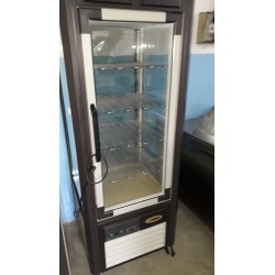 Vetrina Verticale Refrigerata per Gelati usato