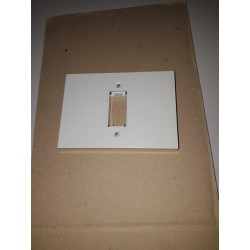 PLACCA IN RESINA1 MODULO BTICINO DOGIC ART.500/71