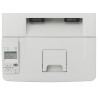 Epson WorkForce  AL-M300D (C11CC63011)