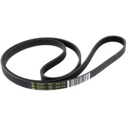 CINGHIA HUTCHINSON 5PJE  1178 USATO