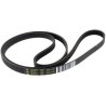 CINGHIA HUTCHINSON 5PJE  1178 USATO
