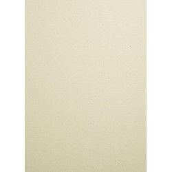 FEDRIGONI WOODSTOCK BETULLA 70X100