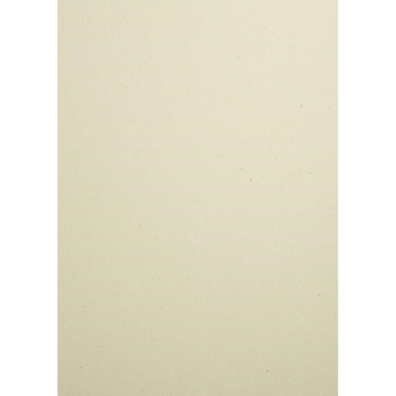 FEDRIGONI WOODSTOCK BETULLA 70X100