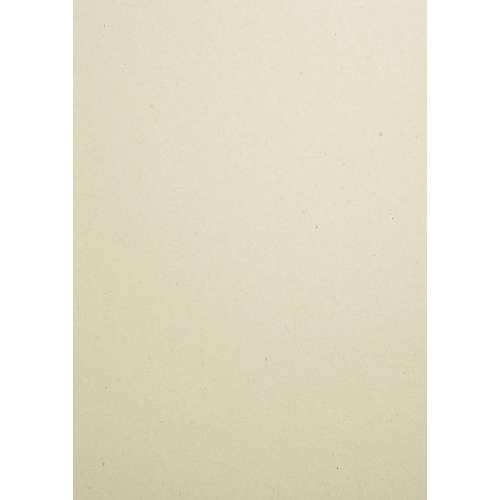 FEDRIGONI WOODSTOCK BETULLA 70X100