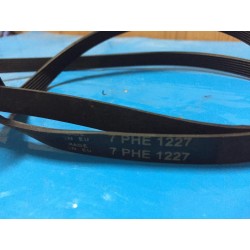 CINGHIA HUTCHINSON 7PHE 1227 PER LAVATRICE WEGA WHITE WEW WWS1005 USATO