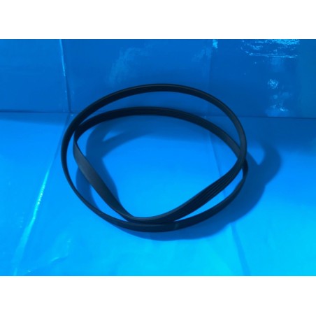 CINGHIA 5PJE 1194 PER LAVATRICE ARISTON ARXXL 105 - usato
