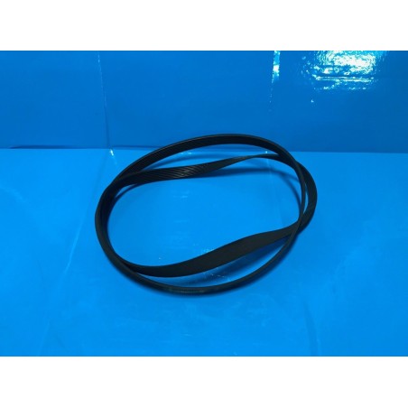 CINGHIA 8EPH 1231 41003164 LAVATRICE CANDY GO 105-01 - usato agx 8000000002310