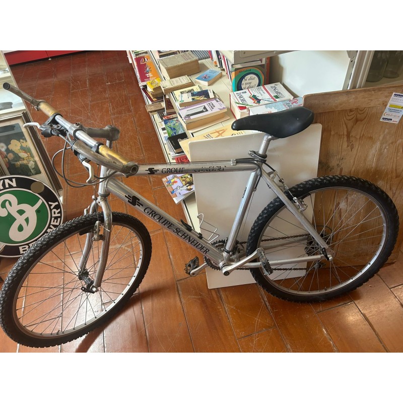 BICICLETTA GROUPE SCHNEIDER              USATO