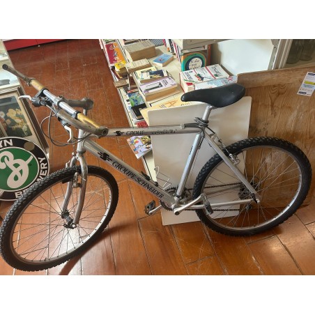 BICICLETTA GROUPE SCHNEIDER              USATO