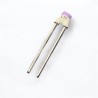 10 Pz. Condensatore Ceramico 47pF 100V 2,54 2% N750 - 222 680 58479