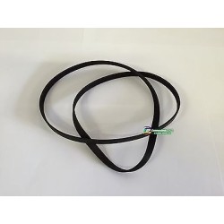 CINGHIA COD. EL 1181 H7 LAVATRICE INDESIT WISL 62 X usato agx