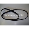 CINGHIA CONTITECH EL 1198 J6  / EL1198J6  LAVATRICE ARISTON ECO 7F 1292 (EU)  IT  USATA