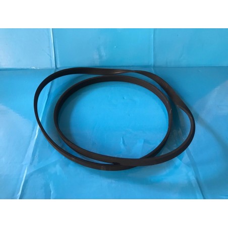 CINGHIA EL 1269 J5 2005170300 PER SANGIORGIO SGXX 7107 usato agx 8000000002280