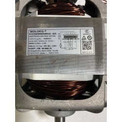 Motore Lavatrice Candy CST 06LE/1-11 (46006323 / Wolong HCD63/52)