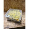 Tasselli a Percussione in Nylon Giallo Testa Bombata Extra Larga con Vite Akifix 6x40 mm - Cod. NF10003BH (Lotto da 50 pezzi)