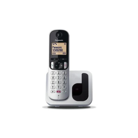TELEFON0 CORDLESS PAN TGC260 SILVER GAP VIVAV/SEGRETERIA/16 ORE.