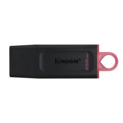 USB Stick 256GB Kingston DataTraveler Exodia  USB 3.2 DTX/256GB