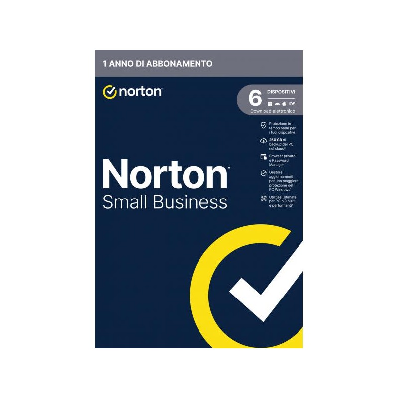 NORTON SMALL BUSINESS 1USER 6 DEV 250GB BACKUP 12 MESI