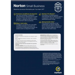 NORTON SMALL BUSINESS 1USER 10 DEV 250GB BACKUP 12 MESI