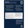 NORTON SMALL BUSINESS 1USER 10 DEV 250GB BACKUP 12 MESI