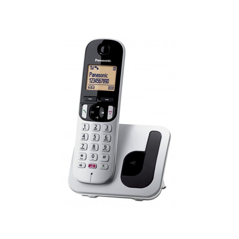 TELEFON0 CORDLESS PAN TGC250 SILVER GAP VIVAV/16ORE/ID CHI./RUBRICA 50N
