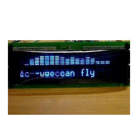 IBM FUTUBA FLORESCENT DISPLAY P/N M202LD01BA REV.B  USATO  lrx1.2