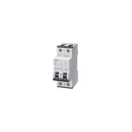 INTERRUTTORE MAGNETOTERMICO SIEMENS 5SY65 MCB C10 2P lrx