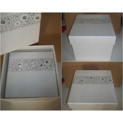 Scatola Quadrata Bianco Lucido 2 in una  nuovo  agx