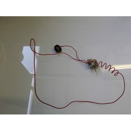 TERMOSTATO COD. 5519019844  / 12458073/1 PER LAVATRICE REX RL 44G USATO VLX