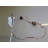 TERMOSTATO COD. 5519019844  / 12458073/1 PER LAVATRICE REX RL 44G USATO VLX