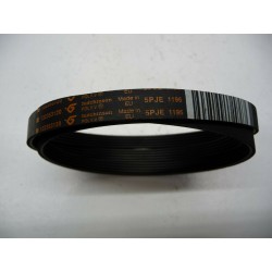 CINGHIA RIGHI 6 MEDIO CM.55 5PJE 1196/J6 EX.1195/J6